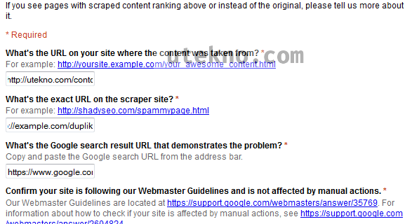 google scraper report