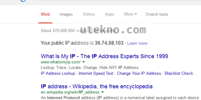 google search public ip address