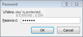 microsoft excel 2007 is protected