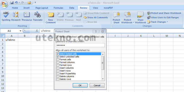 microsoft-excel-2007-protect-sheet