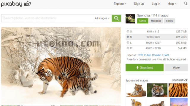 pixabay-tiger
