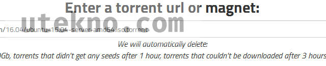 direct torrents