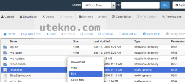 cpanel-file-manager-public-html-edit