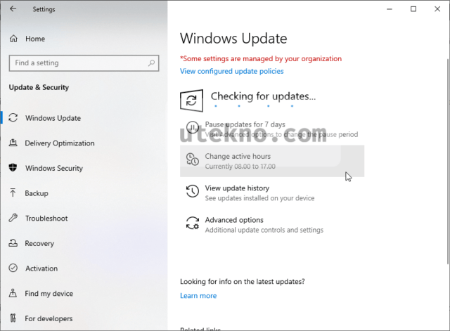 window 10 checking update